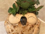 Unbearably cute owl pot with succulents courtesy of Gina Rose and the PTO