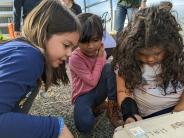 From left to right, first-graders Gabriella Hernandez, Maya Islas, & Kora Chaddick peer at a bunny during the Harvest Festival.