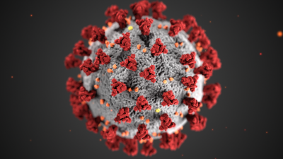 A microscopic view of the COVID-19 virus