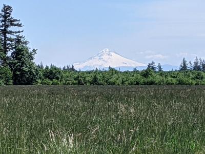 Mount Hood rises in the distance, a view just steps away from North Marion School District
