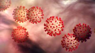A group of COVID-19 virus cells float in a vein.