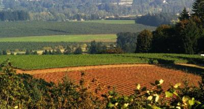 Image of Willamette Valley farm land