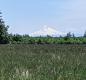 Mount Hood rises in the distance, a view just steps away from North Marion School District