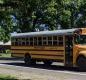 Two yellow school buses driving on Grim Road